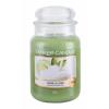 Yankee Candle Vanilla Lime Lumânări parfumate 623 g