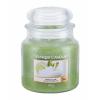 Yankee Candle Vanilla Lime Lumânări parfumate 411 g