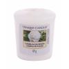 Yankee Candle Camellia Blossom Lumânări parfumate 49 g