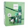 C-THRU Luminous Emerald Set cadou apă de toaletă 30 ml + deodorant 150 ml + lumânare