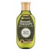 Garnier Botanic Therapy Olive Mythique Șampon pentru femei 250 ml