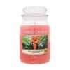 Yankee Candle The Last Paradise Lumânări parfumate 623 g