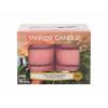 Yankee Candle The Last Paradise Lumânări parfumate 117,6 g