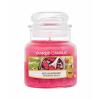 Yankee Candle Red Raspberry Lumânări parfumate 104 g