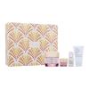 Estée Lauder Resilience Multi-Effect Skincare Wonders Set cadou Cremă de zi pentru față Resilience Multi-Effect SPF15 50 ml + cremă de ochi Resilience Multi-Effect 5 ml + cremă pentru curățarea feței Perfectly Clean 30 ml + ser pentru față Perfectionist Pro 15 ml