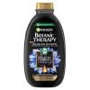 Garnier Botanic Therapy Magnetic Charcoal &amp; Black Seed Oil Șampon pentru femei 250 ml