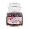 Yankee Candle Berry Mochi Lumânări parfumate 104 g