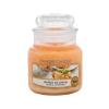 Yankee Candle Mango Ice Cream Lumânări parfumate 104 g