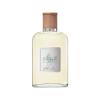 Ralph Lauren Polo Earth Antilles Vetiver Apă de toaletă 100 ml