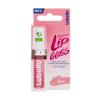 Labello Pflegender Lip Gloss Ulei de buze pentru femei 5,5 ml Nuanţă Rosé