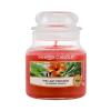 Yankee Candle The Last Paradise Lumânări parfumate 104 g