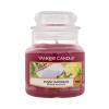 Yankee Candle Sunny Daydream Lumânări parfumate 104 g