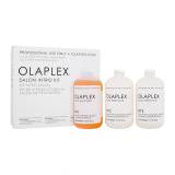 Olaplex Bond Multiplier No. 1 Salon Intro Kit Set cadou Bond Multiplier No. 1 525 ml + Bond Perfector No. 2  2 x 525 ml + aplicator