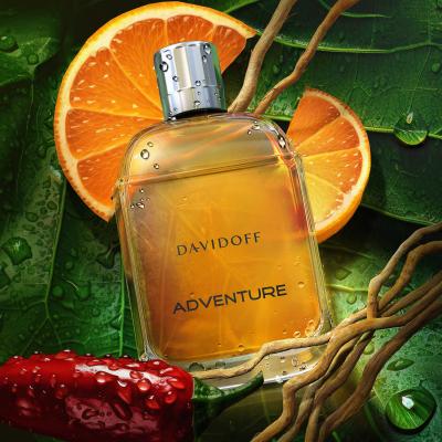 Davidoff Adventure Apă de toaletă pentru bărbați 100 ml