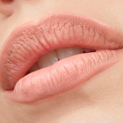 Catrice Plumping Lip Liner Creion de buze pentru femei 0,35 g Nuanţă 150 Queen Vibes