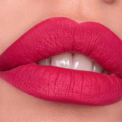 Catrice Plumping Lip Liner Creion de buze pentru femei 0,35 g Nuanţă 110 Stay Seductive