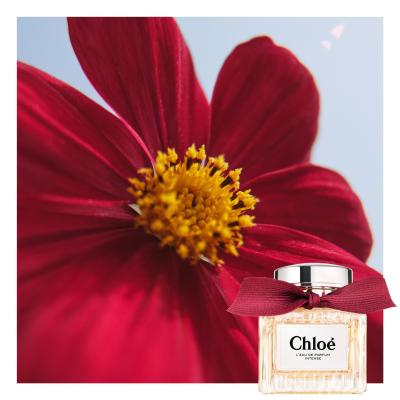 Chloé Chloé L&#039;Eau De Parfum Intense Apă de parfum pentru femei 50 ml