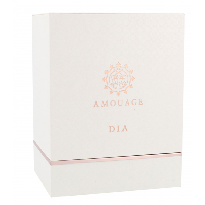 Amouage Dia Apă de parfum pentru femei 100 ml