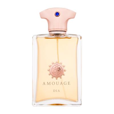 Amouage Dia pour Homme Apă de parfum pentru bărbați 100 ml