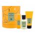 Acqua di Parma Colonia Futura Set cadou edc 100 ml + gel de duș 75 ml + deodorant 50 ml