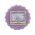 Yankee Candle Sweet Nothings Ceară parfumată 22 g