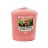 Yankee Candle The Last Paradise Lumânări parfumate 49 g