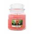 Yankee Candle The Last Paradise Lumânări parfumate 411 g