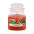 Yankee Candle The Last Paradise Lumânări parfumate 104 g