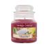 Yankee Candle Sunny Daydream Lumânări parfumate 104 g