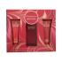 Elizabeth Arden Red Door Set cadou apa de toaleta 100ml + lotiune de corp 100 ml + gel de dus 100 ml