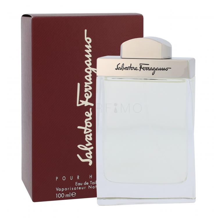 Ferragamo Pour Homme Apă de toaletă pentru bărbați 100 ml