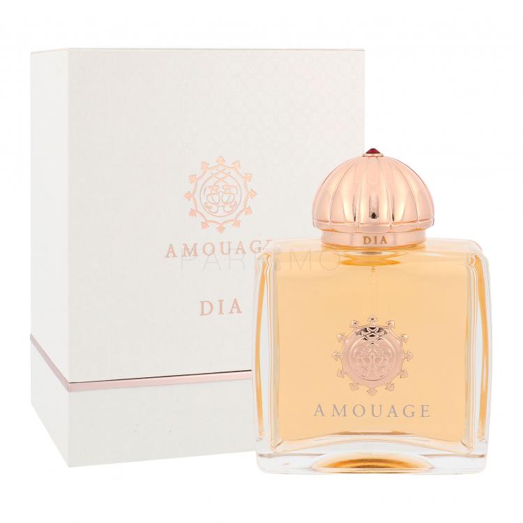 Amouage Dia Apă de parfum pentru femei 100 ml